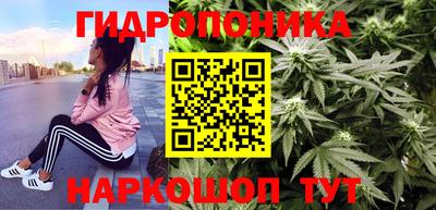 ешки Ставрополь
