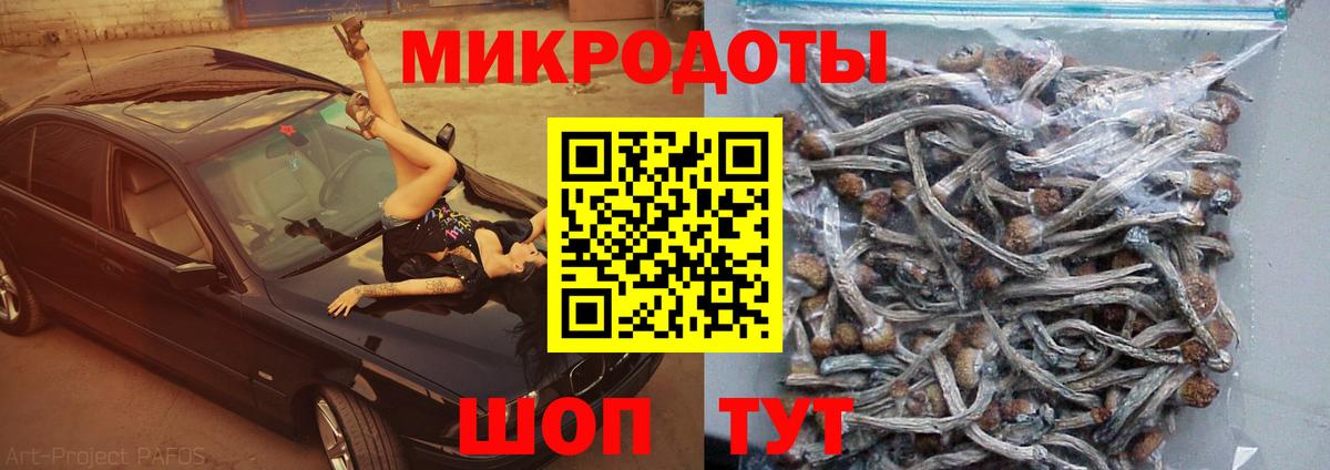 Псилоцибиновые грибы ЛСД  Вход с VPN  Галлюциногенные грибы мухоморы  Сатка 