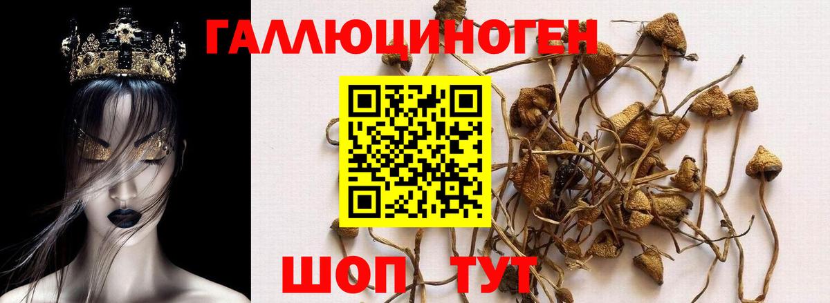 Псилоцибиновые грибы прущие грибы Сатка